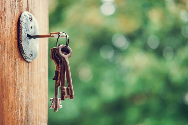 Set of keys in the keyhole — Stockfoto
