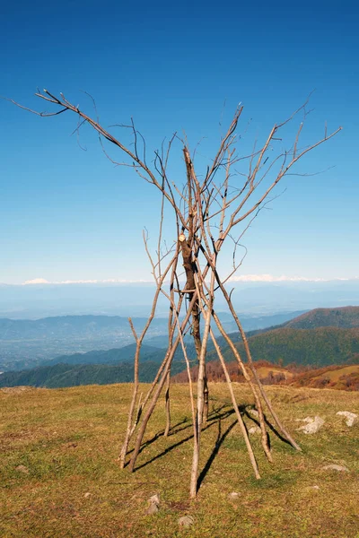 Manojo de bosques de fuego en la cima de la colina —  Fotos de Stock
