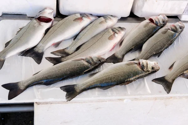 Mercado dos produtos do mar — Fotografia de Stock