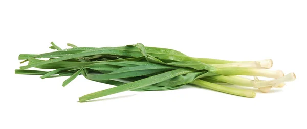 Vue Rapprochée Bouquet Oignon Vert Frais Isolé Sur Fond Blanc — Photo