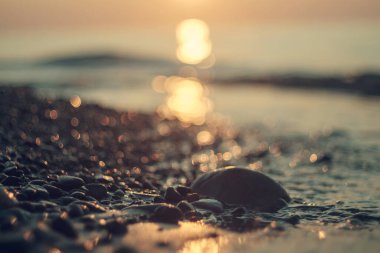 Gün batımındaki kumsalda ıslak deniz çakıl taşları. Seçici bir odak noktası.