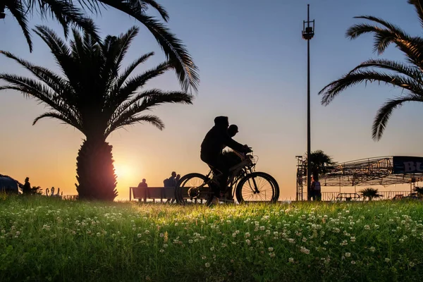 Green Field White Flowers Background Silhouettes People Riding Bike Seaside — Stock Photo, Image