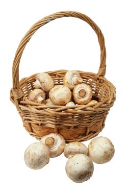 Sepette beyaz mantarlar var, beyaz arka planda izole edilmiş.