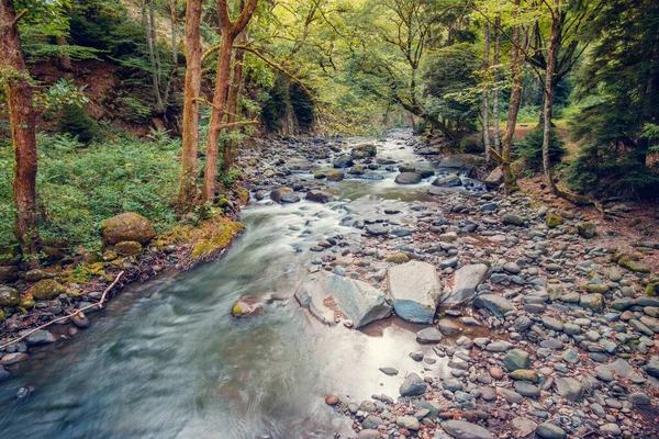 Landschaft Mit Schnellem Fluss Der Durch Den Wald Fließt — Stockfoto