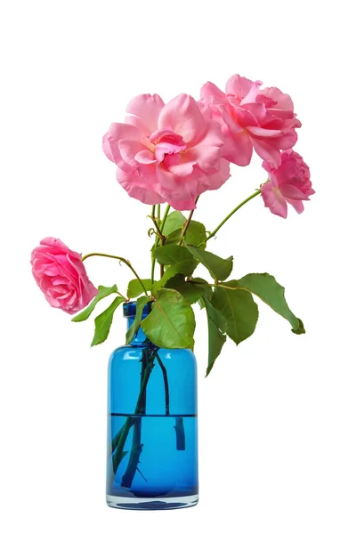 Rosas Cor Rosa Vaso Vidro Transparente Azul Isolado Fundo Branco — Fotografia de Stock