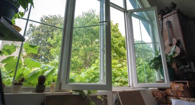 Dışarıdaki yeşil ağaçlarla büyük pencereden bakan güneş ışığı.