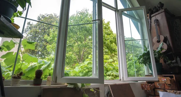 Dışarıdaki yeşil ağaçlarla büyük pencereden bakan güneş ışığı.