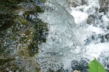 Hareket halindeki temiz su, ormanda küçük bir şelale oluşturuyor.