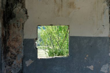 Paslı duvardaki kırık delikten bir bahçe manzarası 