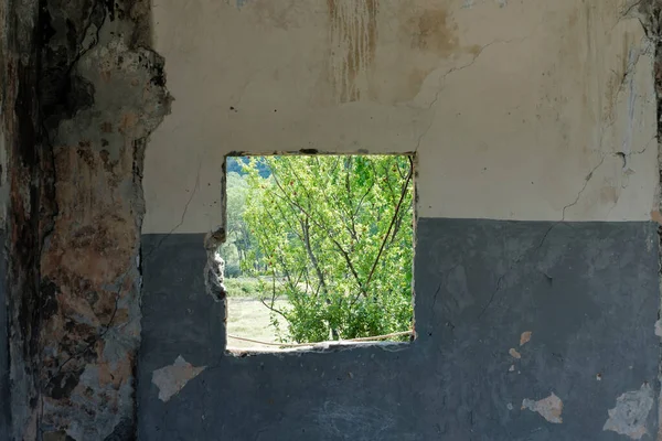 Paslı duvardaki kırık delikten bir bahçe manzarası 