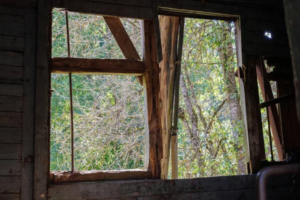 Pohled Přírodu Rozbitého Zrezivělého Okna — Stock fotografie