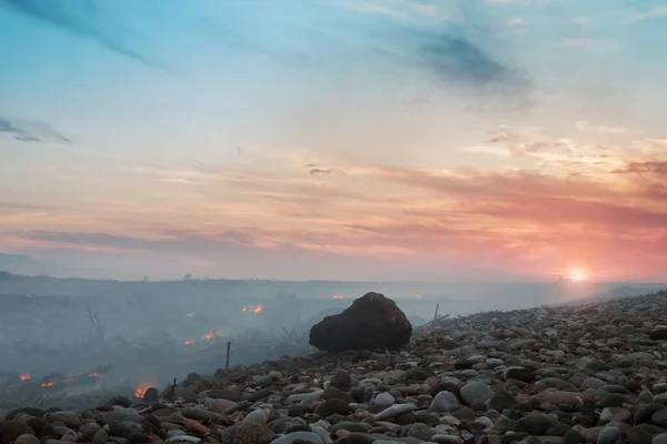 Coast with smoke after wildfire. Burnt wood on the shore at sunset