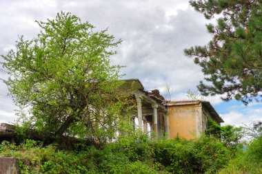 Doğayla çevrili terk edilmiş eski bir tren istasyonu binası.
