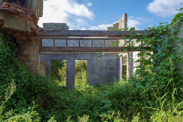 Muur Een Verlaten Wrak Huis Met Lege Ramen Deuropening Begroeid — Stockfoto