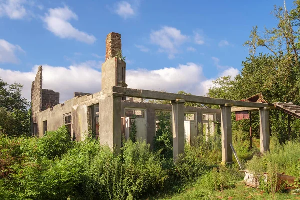 荒废的老房子在长满青藤和植物的田野里破烂不堪 — 图库照片
