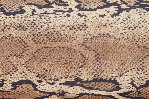 Fondo Piel Serpiente Primer Plano Textura Beige Marrón — Foto de Stock