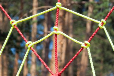 Yükseklerdeki parka tırmanma macerası. Çam ağaçlarının arasına orman macerası parkı.