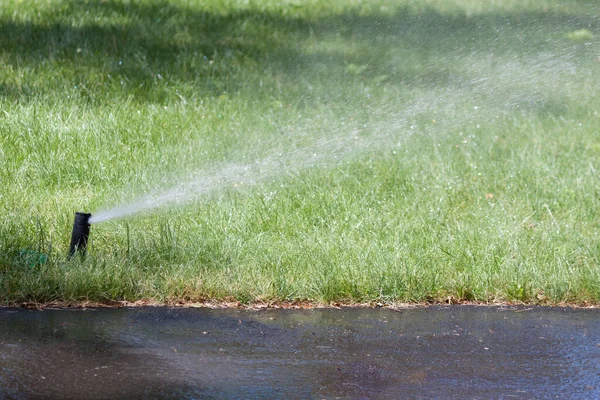 Automatic Sprinkler Watering Garden Park — Stock Photo, Image