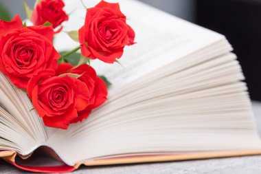 Kırmızı turuncu güllerin olduğu açık bir kitap. Okumak ve dinlenmek. Romantik, tatlı, flört konsepti.