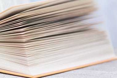 Birçok sayfası olan açık bir kitap. Eğitim ve bilgelik kavramı.