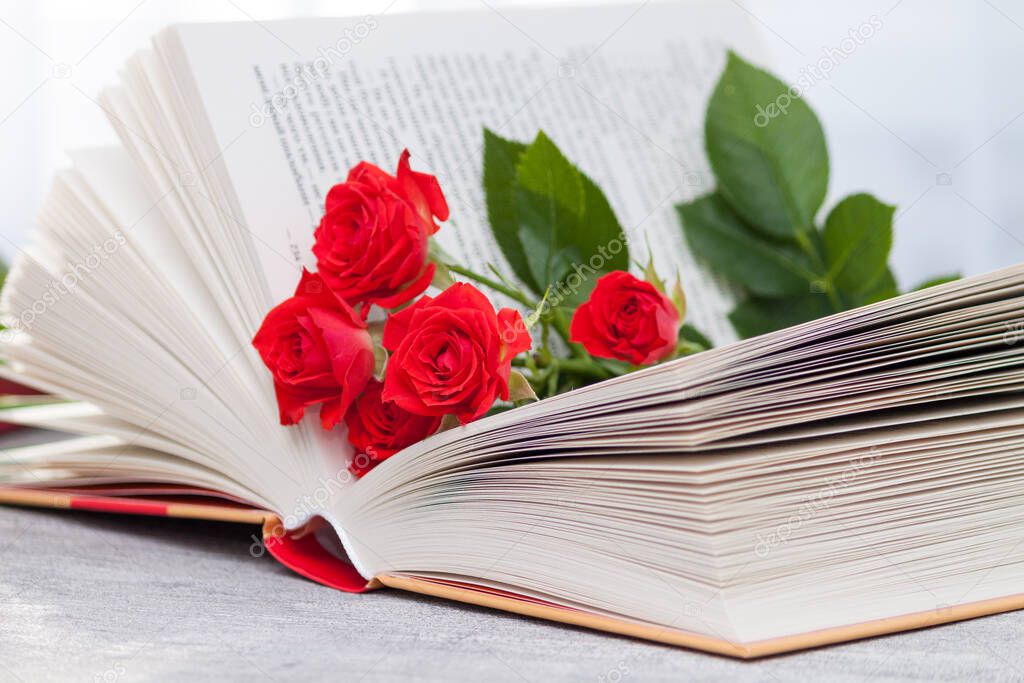 An open book with red orange roses. Reading and relaxing. Romantic, sweet, dating concept.