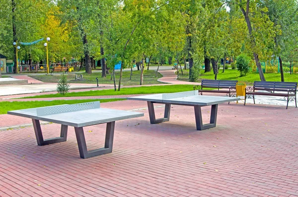 Antivandali Tavoli Tennis Nel Parco Cittadino Sotto Cielo Aperto — Foto Stock