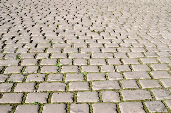 Road Cobblestones Stones Green Grass Grows — Stock Photo, Image