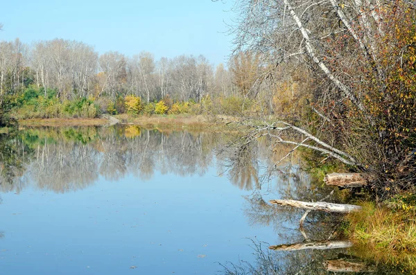 Jesienny Krajobraz Drzew Nad Rzeką — Zdjęcie stockowe