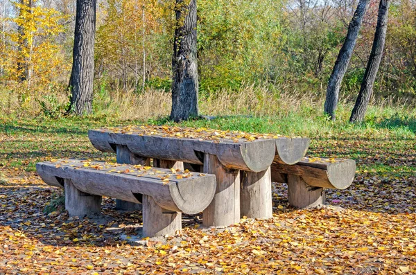 Meble Ogrodowe Drewna Ogrodu Ławki Stół — Zdjęcie stockowe