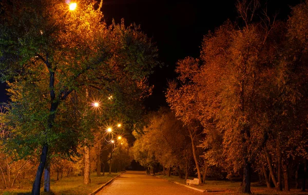 没有人 夜间小巷在公园里 在路灯的光 — 图库照片