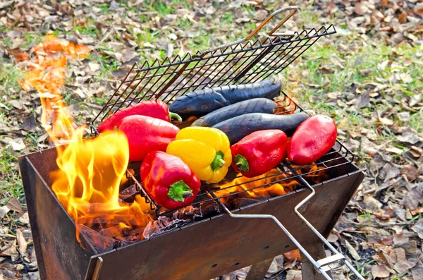 Grönsaker Paprika Och Aubergine Grillad Över Öppen Eld Camping — Stockfoto