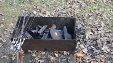 Izgara ateş açın. Etsiz şiş ızgara. Charcoals yanıyor. Video