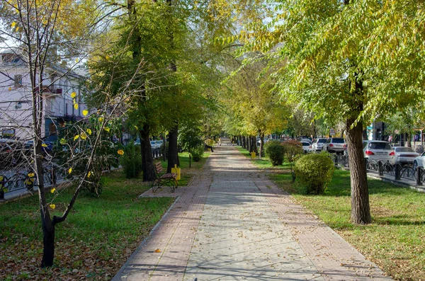 Podzim Pěší Uličky Chodníku Lavičkami Městě Nedaleko Silnice Rusko — Stock fotografie