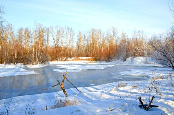 Nicht Zugefrorener Wintersee Kahle Winterbäume Der Nähe Des Teiches Über — Stockfoto