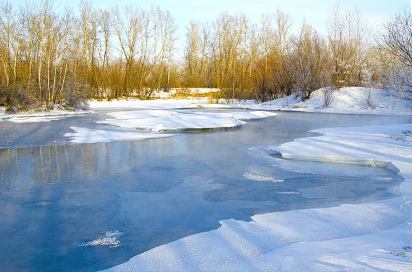 Non-freezing winter lake. Bare winter trees near the pond above which steam rises. Winter. Russia. Abakan