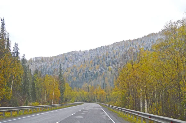 Estrada Montanha Passando Pela Floresta Outono Vista Cabine Carro — Fotografia de Stock
