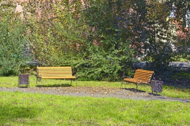 Sonbahar parkında alley, boş banklar ve sarı, düşmüş yapraklar. Rusya. Sibirya