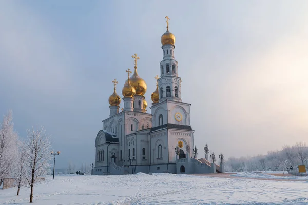 Золотые Купола Русской Православной Церкви Спасо Преображенский Собор Россия Абакан Стоковое Фото