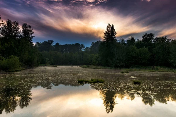 Sonntag Morgen Sonnenaufgang Reflexion Über Eine Delta Bucht Mit Bäumen — Stockfoto