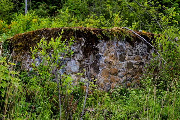 Mur Pierre Centenaire Dans Forêt Envahie Par Les Fissures — Photo