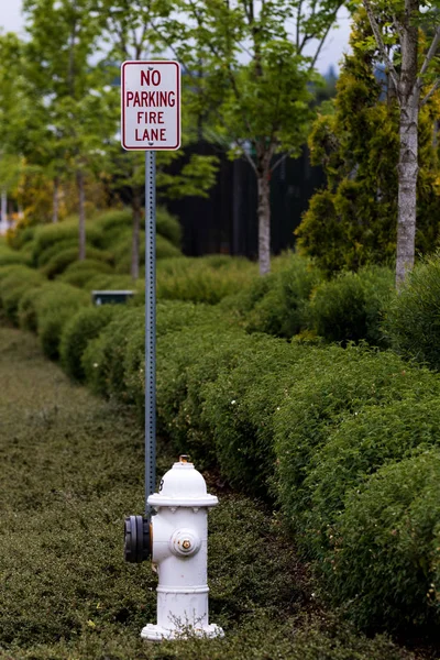 Nie Parkingu Ogień Lane Znak Obok Hydrant Krzewów — Zdjęcie stockowe