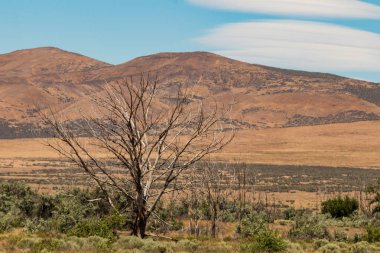 Doğu Washington Palouse geniş genişlik Çöl manzaralı mavi gökyüzü ve bulutlar