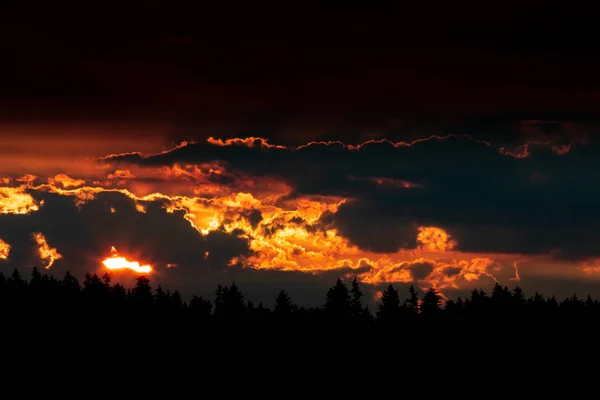Coucher Soleil Rouge Dessus Horizon Limite Arbre Avec Lourds Nuages — Photo