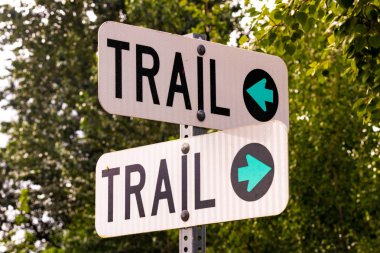 Çift iz işareti mavi oklar ve ağaçları ile yayında