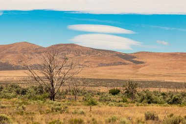 Doğu Washington Palouse geniş genişlik Çöl manzaralı mavi gökyüzü, bulutlar ve ağaçlar