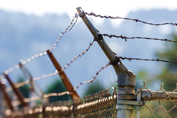 Barbed wire fence shining in the sun with trees in the background