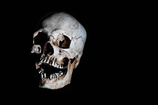 Nsan Iskelet Kafatası Baş Üstünde Siyah Izole — Stok fotoğraf