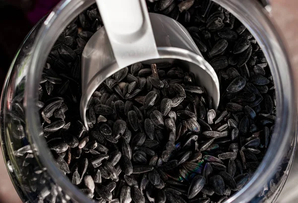 Bird feed sunflower seeds in a container with a scoop