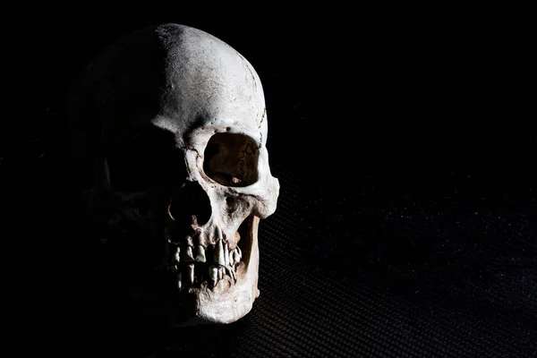 Ludzka Czaszka Szkielet Głowy Czarnym Tle — Zdjęcie stockowe