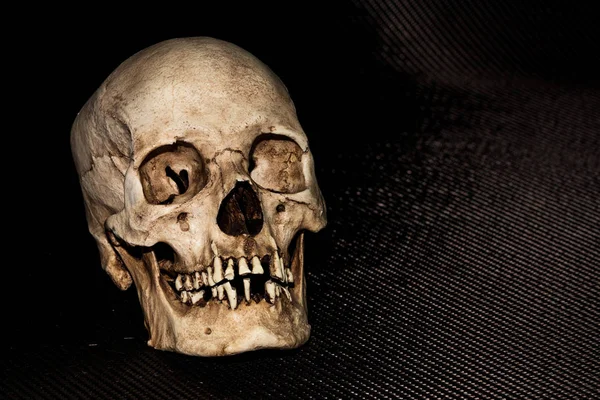 Human skeleton skull head isolated on black background